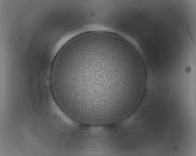 X0000113321231200909211147