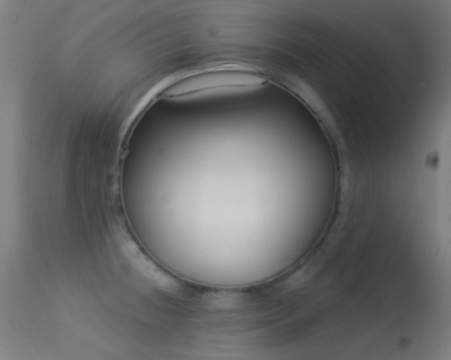 X0000113321236200909211147