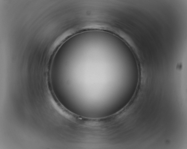 X0000113321237200909211147