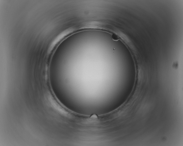 X0000113321238200909211147