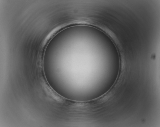 X0000113321240200909211148