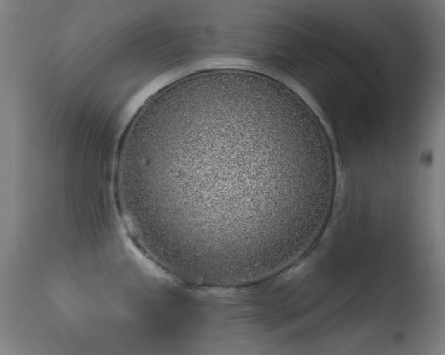 X0000113321245200909211148