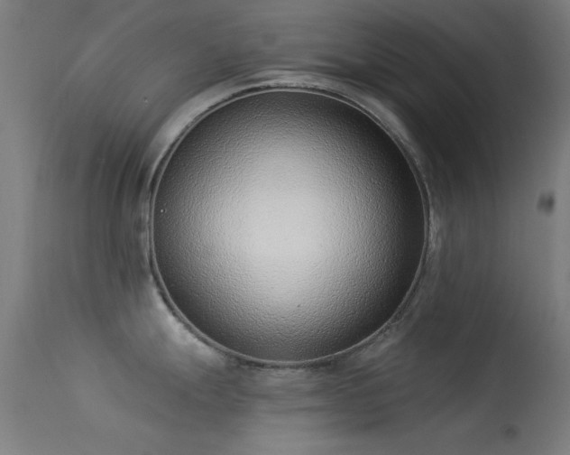 X0000113321247200909211148