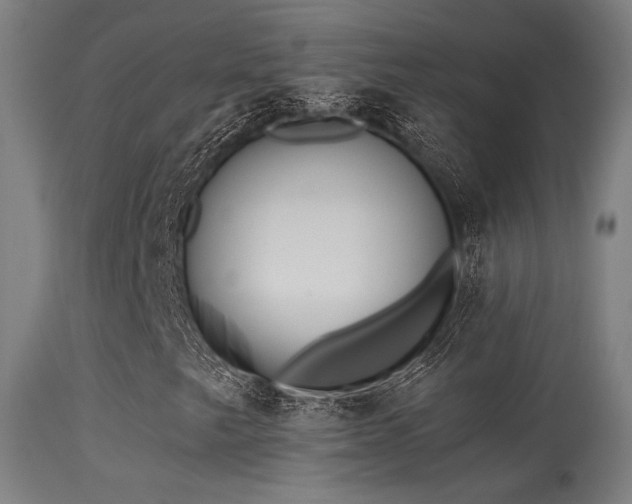 X0000113321249200909211147