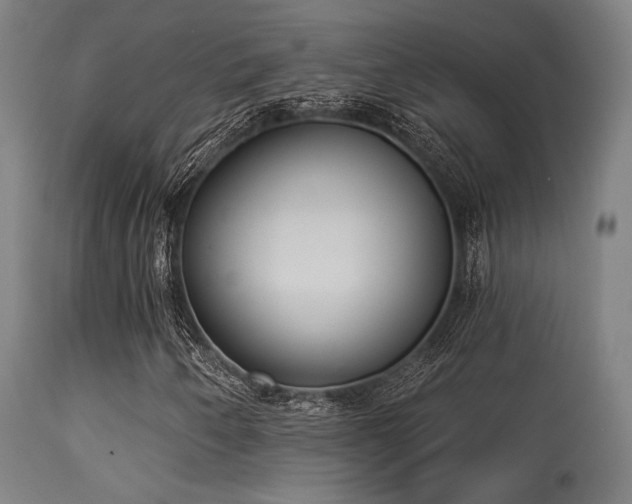 X0000113321250200909211147