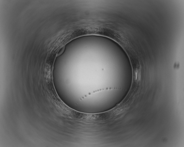 X0000113321251200909211147