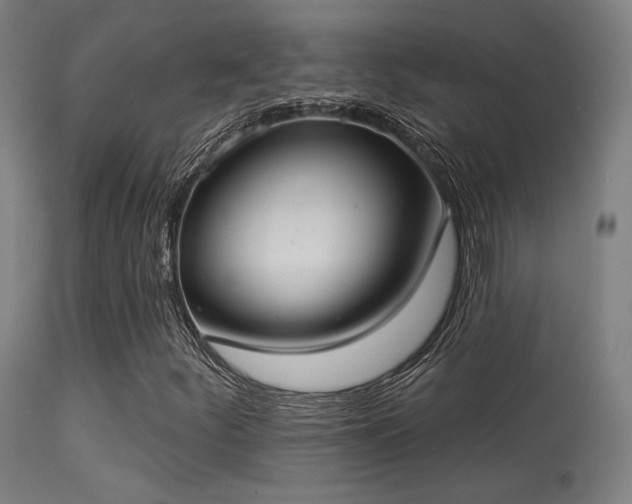 X0000113321252200909211147