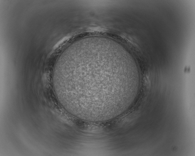 X0000113321254200909211147