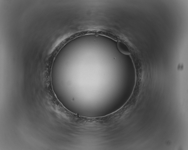 X0000113321256200909211147