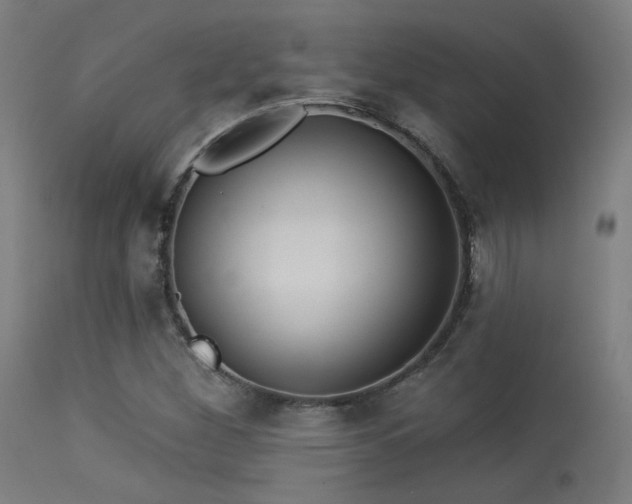 X0000113321260200909211147