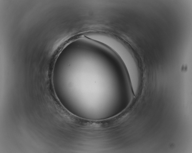 X0000113321261200909211147