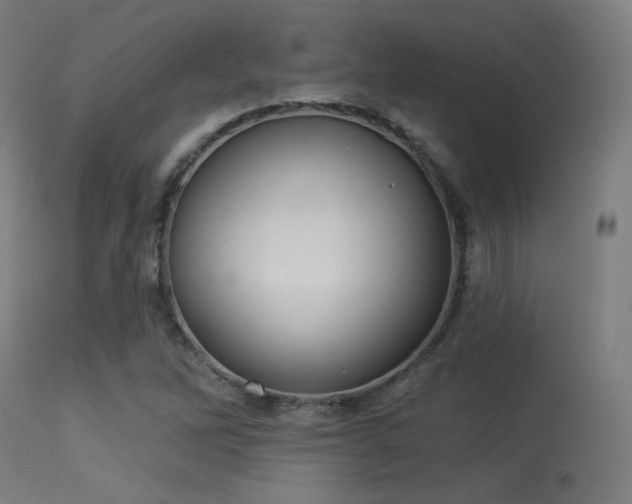 X0000113321262200909211147