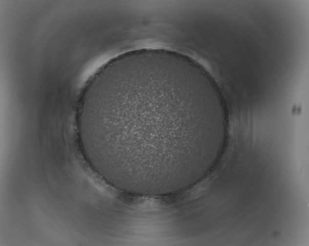 X0000113321263200909211147