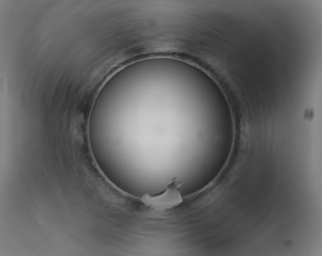 X0000113321265200909211147