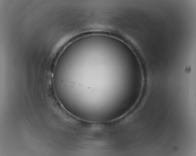 X0000113321267200909211146