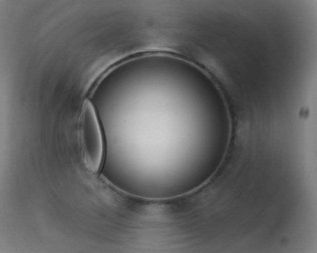 X0000113321268200909211146