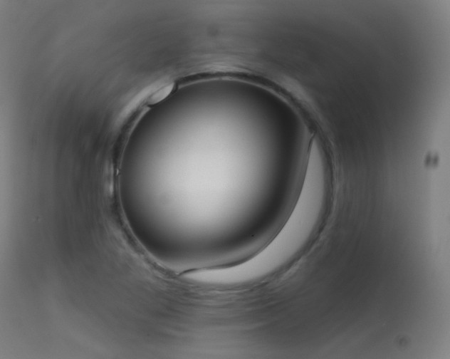 X0000113321269200909211146