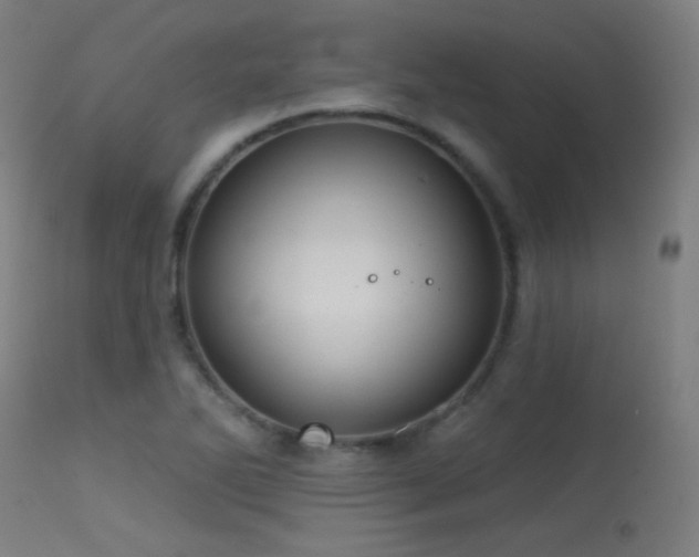 X0000113321270200909211146