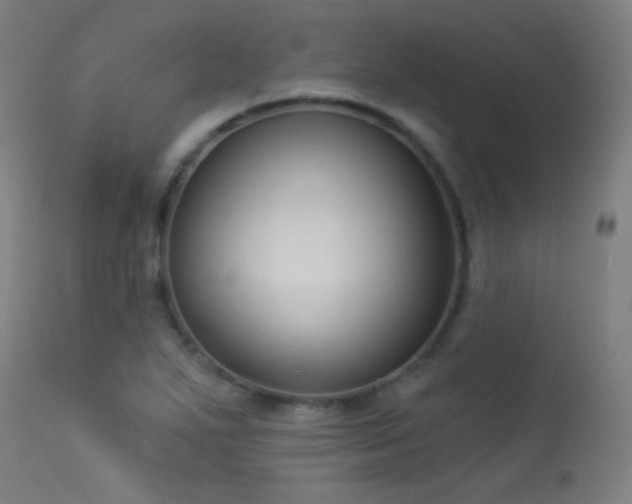 X0000113321271200909211146