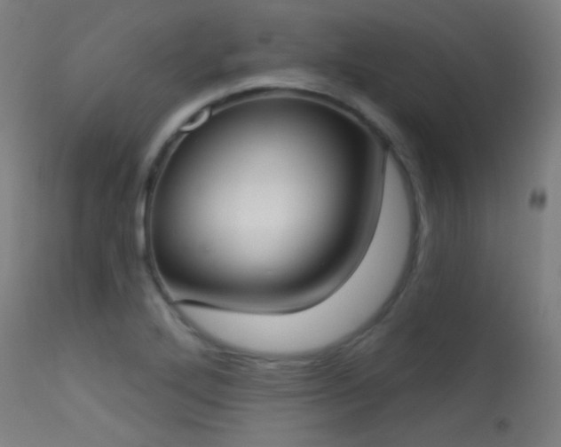 X0000113321272200909211146