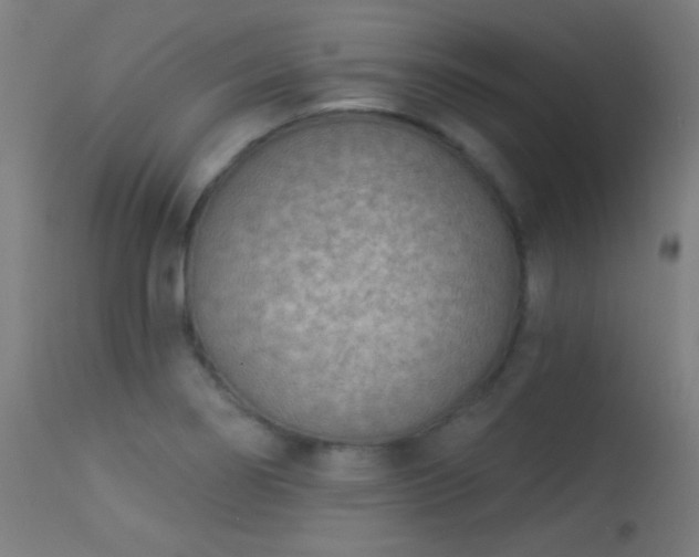 X0000113321274200909211146