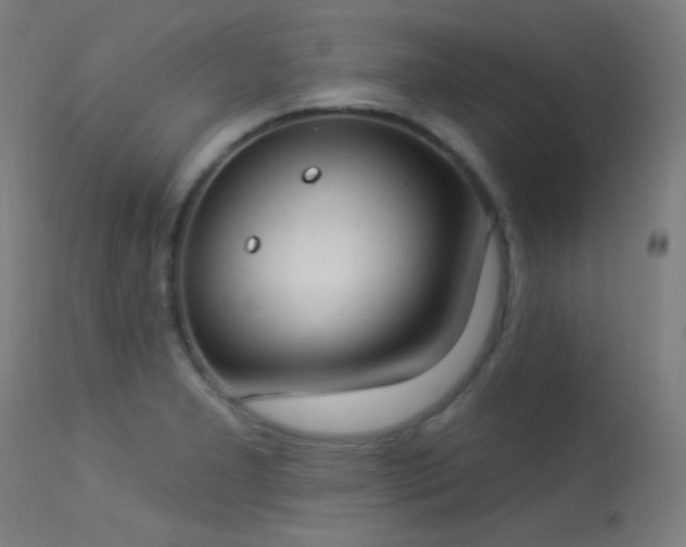 X0000113321277200909211146