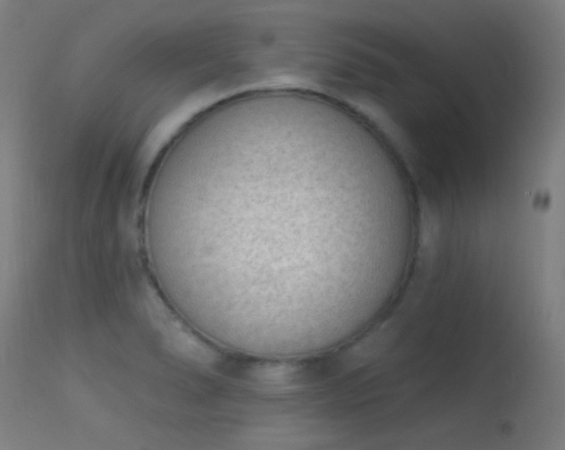 X0000113321278200909211146