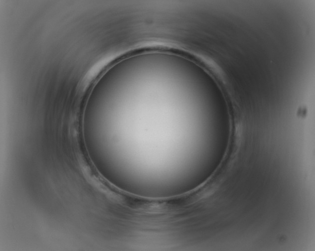 X0000113321279200909211146