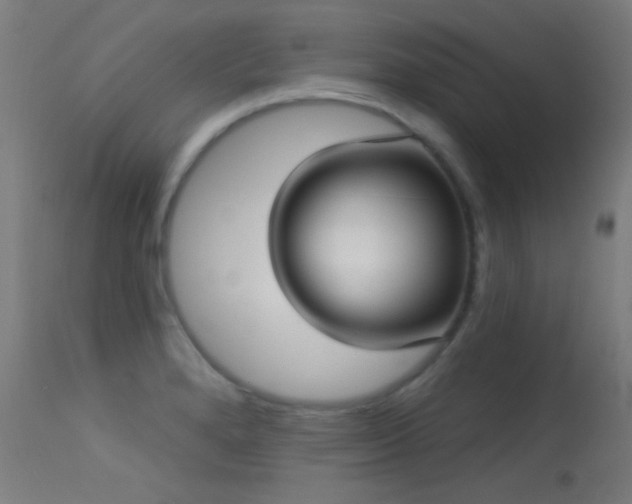 X0000113321280200909211146