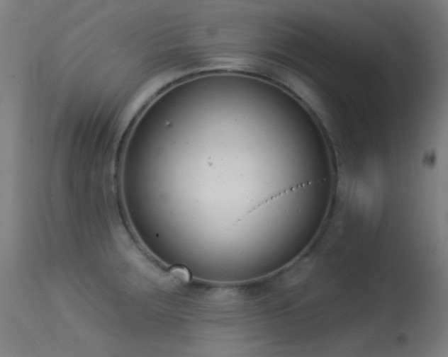 X0000113321283200909211146