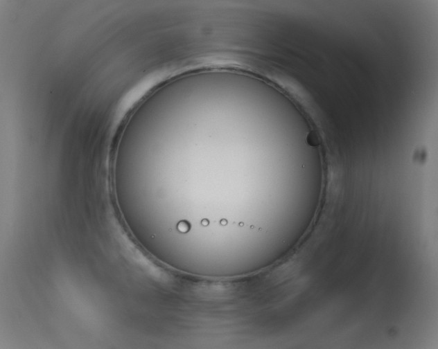 X0000113321286200909211146