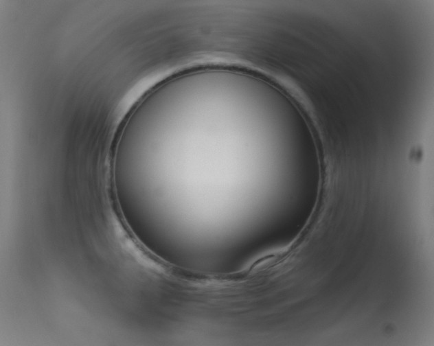 X0000113321287200909211146