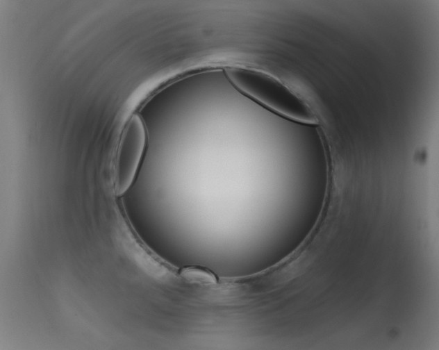 X0000113321288200909211146