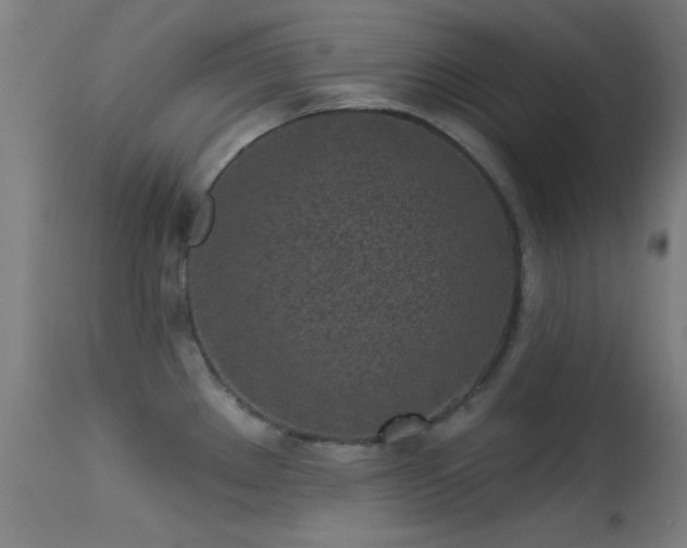 X0000113321289200909211146