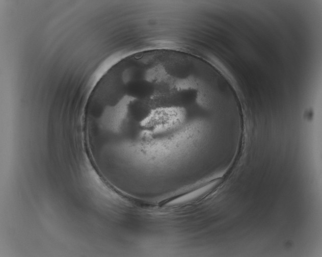 X0000113321291200909211146