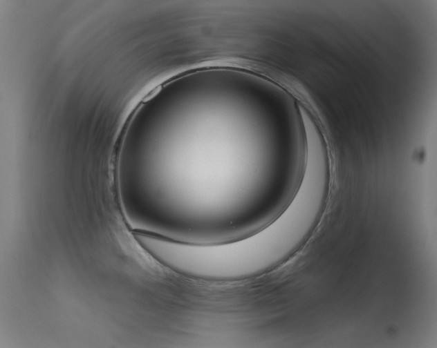 X0000113321292200909211146