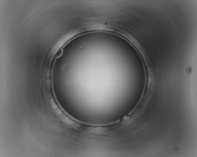 X0000113321293200909211146