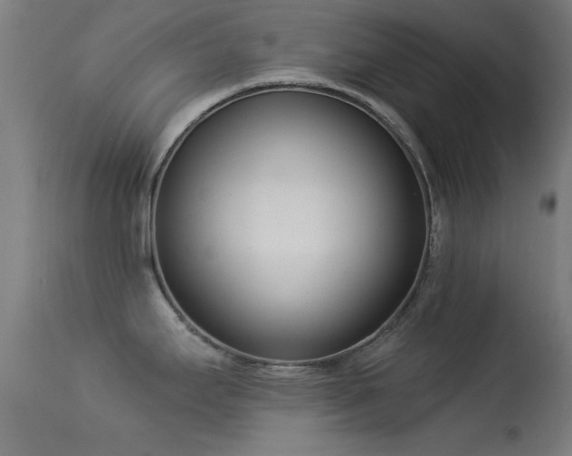 X0000113321295200909211146