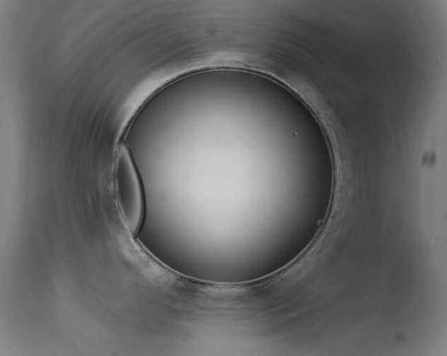 X0000113321296200909211146