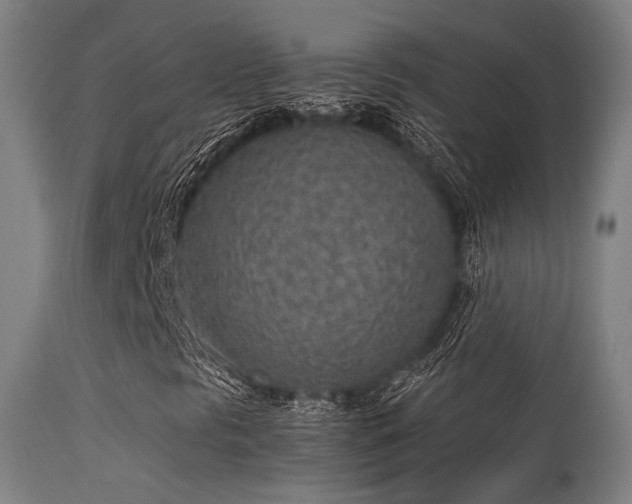 X0000113321297200909211145