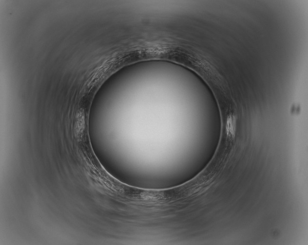 X0000113321299200909211145