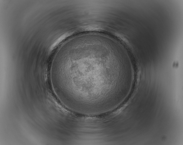 X0000113321306200909211145