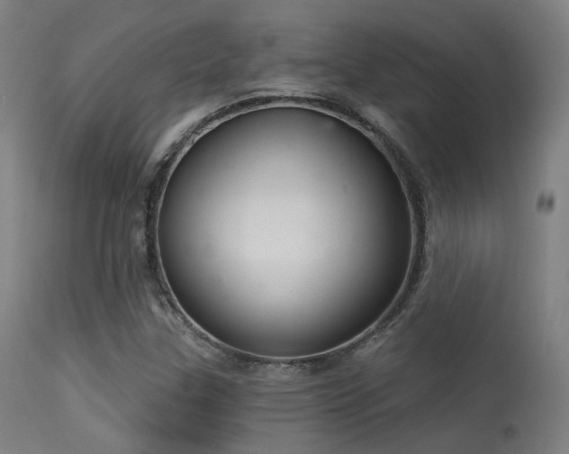 X0000113321307200909211145