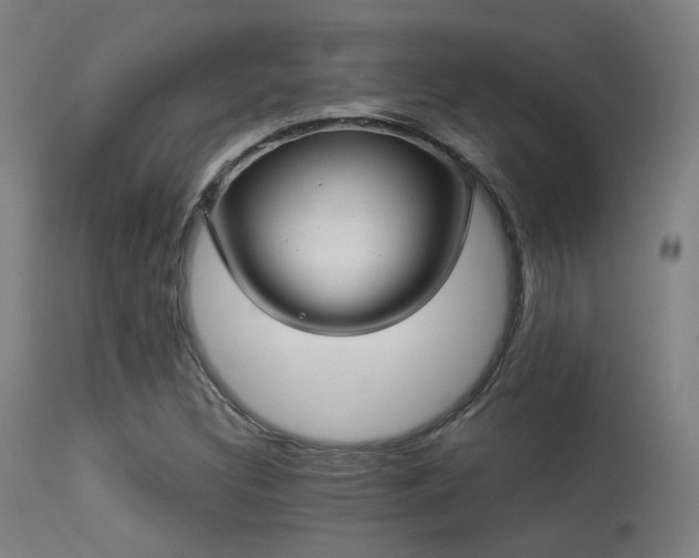 X0000113321308200909211145