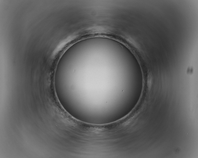 X0000113321309200909211145