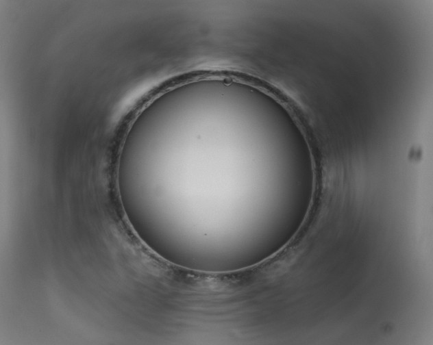 X0000113321311200909211145