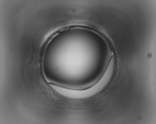 X0000113321312200909211145