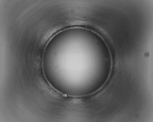 X0000113321313200909211145