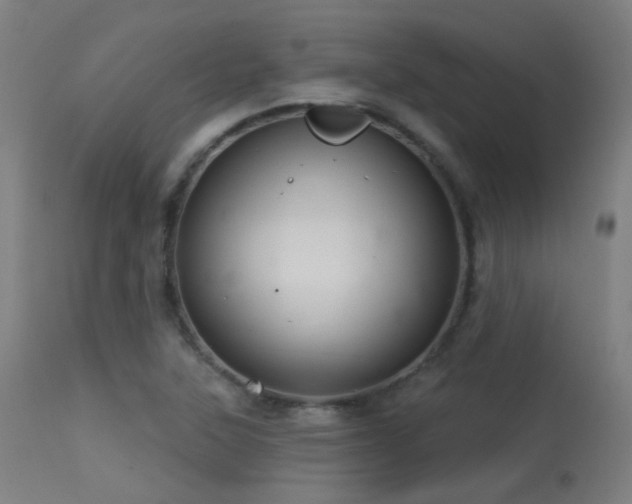 X0000113321315200909211146