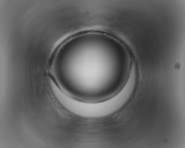 X0000113321316200909211146